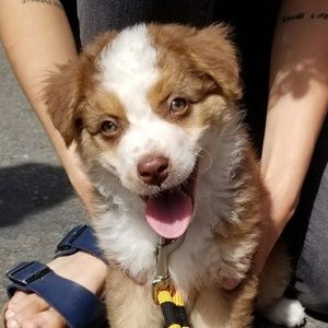 Meet your Posher, Rehana